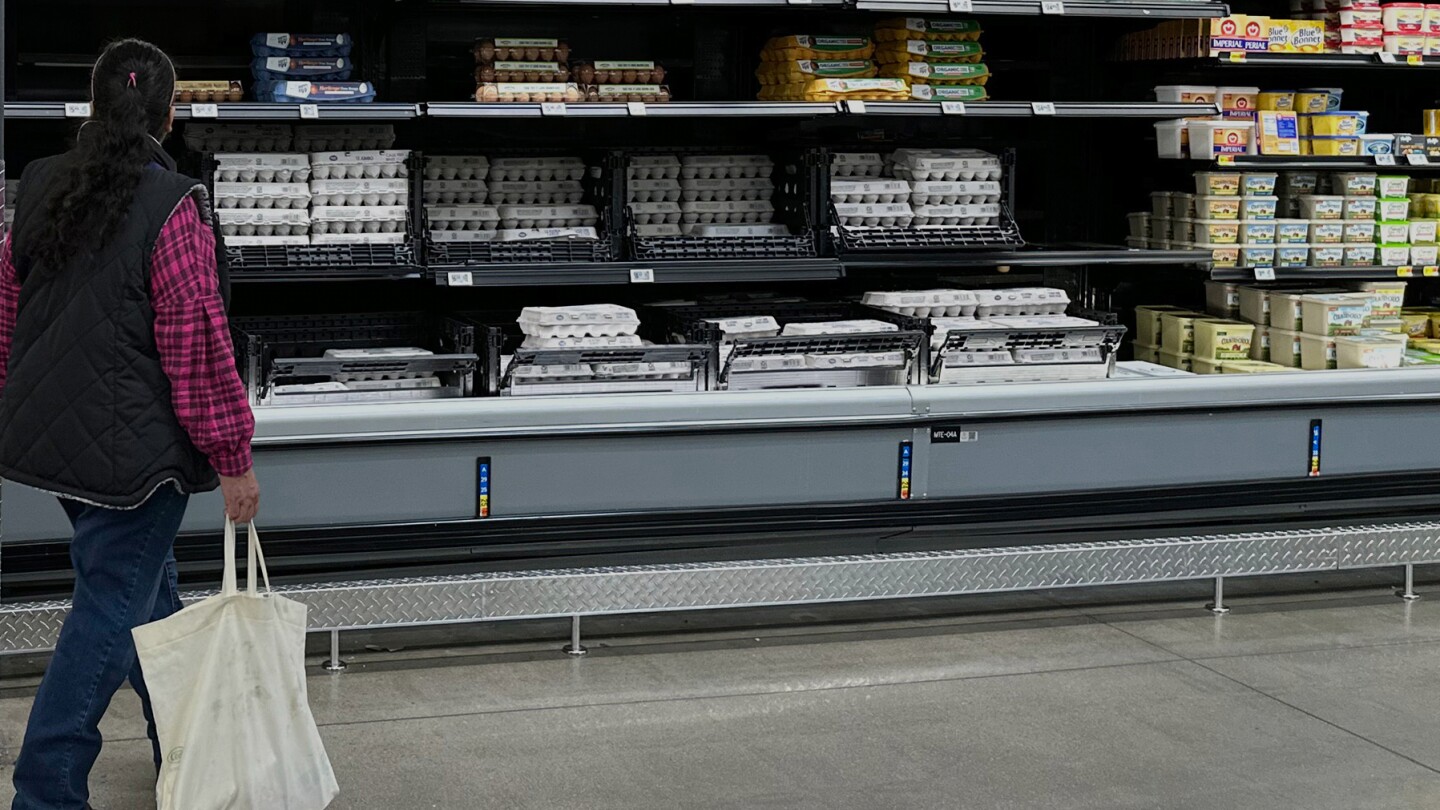 US wholesale prices dropped 0.5% last month despite President Trump's tariffs