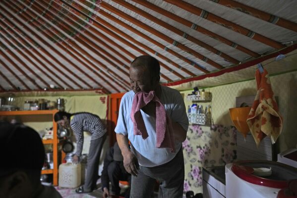 Lkhaebum, 71, wipes his face inside his ger after the day's hard work in the Munkh-Khaan region of the Sukhbaatar district in southeast Mongolia, Saturday, May 13, 2023. (AP Photo/Manish Swarup)