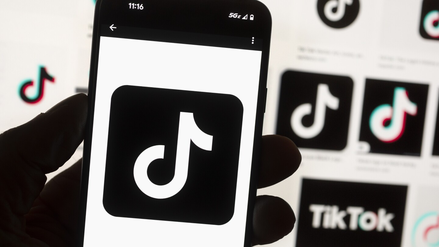TikTok sues US government over law that could ban social media platform