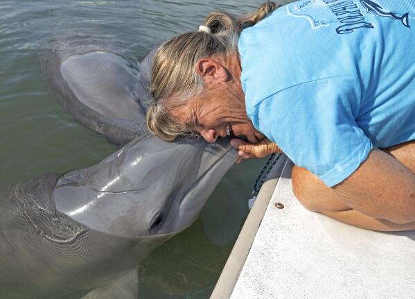 Dolphin Research Center - Dolphin Research Center