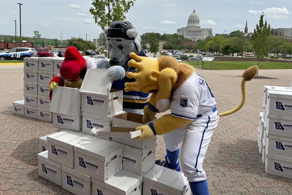 Mascots for the Kansas City Royals, St. Louis Blues and St. Louis Cardinals haul boxes of voter signatures collected in order to put a proposal to legalize sports betting on the ballot this year, Thursday, May 2, 2024, outside the Secretary of State's Office in Jefferson City, Mo. (AP Photo/Summer Ballentine)