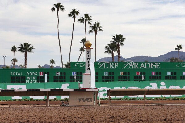 FILE -The finish line of the horse racing track at Turf Paradise is seen, Friday, Jan. 29, 2016, in Phoenix. Turf Paradise, a race track that has been a staple of horse racing in Arizona for decades, announced Monday, Sept. 18, 2023, it will cease live racing. There will be no live racing or simulcasting from the north Phoenix race track starting Oct. 1. (AP Photo/Matt York, File)