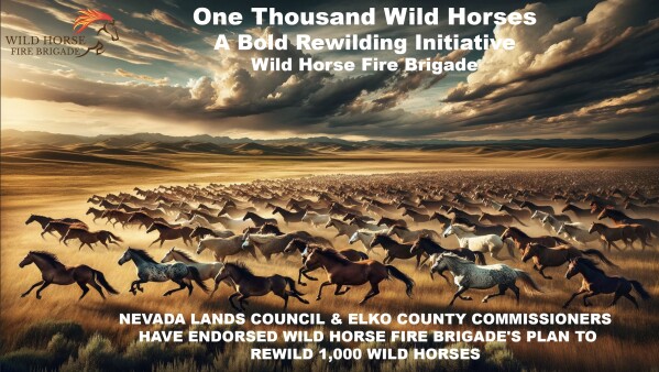 Wild Horse Fire Brigade ('WHFB') has received formal letters of endorsement from the Nevada Lands Council and Elko County Nevada Commissioners who voted unanimously to support Wild Horse Fire Brigade's large-scale Rewilding project for up to 1,000 wild horses.