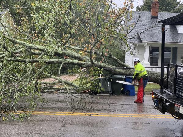 A City of Raleigh, N.C., worker starts his chainsaw to begin removing a fallen tree from power lines on Dixie Trail, Friday, Sept. 30, 2022 as winds from Hurricane Ian started to move through the area. (Richard Stradling/The News & Observer via AP)