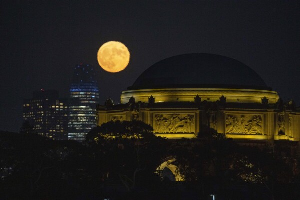 A blue supermoon rises between the Salesforce Tower and the Palace of Fine Arts in San Francisco, Wednesday, Aug. 30, 2023. (AP Photo/Eric Risberg)