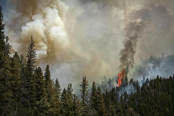 Fire rages along a ridgeline east of highway 518 near the Taos County line as firefighters from all over the country converge on Northern New Mexico to battle the Hermit's Peak and Calf Canyon fires on May 13, 2022. (Jim Weber/Santa Fe New Mexican via AP)