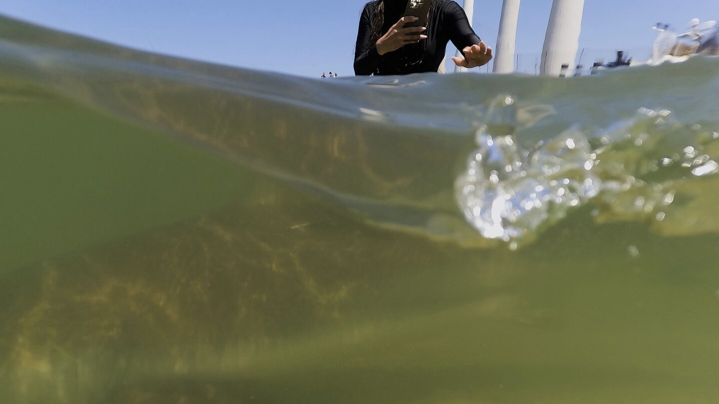 Shark Attack: Swimmer’s Remains Found Off Israel