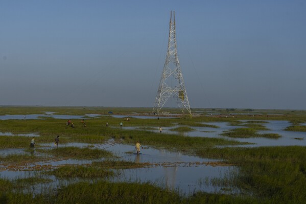 Workers walk through a swamp to install electric transmission towers for the Adani Renewable Energy Park near Khavda, Bhuj district, near the India-Pakistan border in the western state of Gujarat, India, Thursday, Sept. 21, 2023. India is developing a 30 gigawatt hybrid — wind and solar — renewable energy project on one of the largest salt deserts in the world. (AP Photo/Rafiq Maqbool)