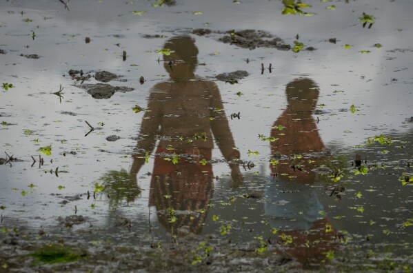 A reflection of farmers planting paddy is seen during Asar Pandra or national paddy day festival at Bahunbesi, Nuwakot District, 30 miles North from Kathmandu, Nepal, Friday, June 30, 2023. Nepalese people celebrate the festival by planting paddy, playing in the mud, singing traditional songs, eating yogurt and beaten rice.(AP Photo/Niranjan Shrestha)