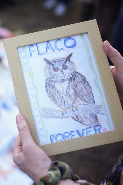 People leave drawings, flowers, poems and other tributes to Flaco the owl at a tree in Central Park in New York, Sunday, March 3, 2024. Mournful fans of Flaco the Eurasian eagle-owl have gathered in New York City to say goodbye to the beloved celebrity creature who became an inspiration and joy to many as he flew around Manhattan after he was let out of his zoo enclosure. (AP Photo/Seth Wenig)