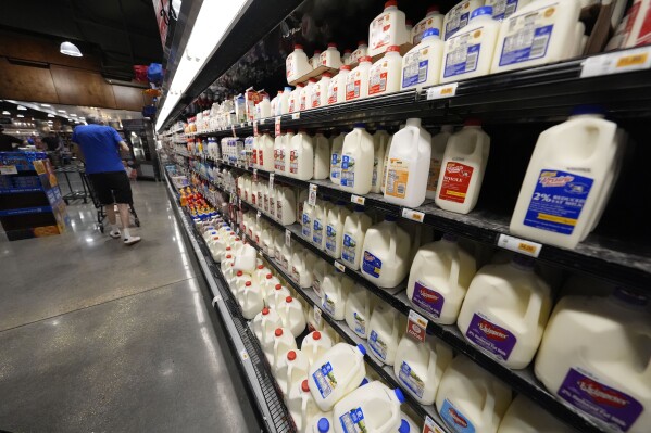 Dairy products in plastic packaging line the cooler at a grocery store in New Orleans, Wednesday, April 17, 2024. People are increasingly breathing, eating and drinking tiny particles of plastic, however, there are simple things people can do at the grocery store if they want to use less plastic. (AP Photo/Gerald Herbert)