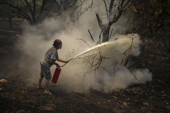 A woman uses a fire extinguisher to save a burning tree in Cokertme village, near Bodrum, Mugla, Turkey, Tuesday, Aug. 3, 2021. As fire crews' pressed ahead with their weeklong battle against blazes tearing through forests and settlements on Turkey's southern coast on Tuesday, President Recep Tayyip Erdogan's government faced increased criticism over its apparent poor response and inadequate preparedness for large-scale wildfires. (AP Photo/Emre Tazegul)