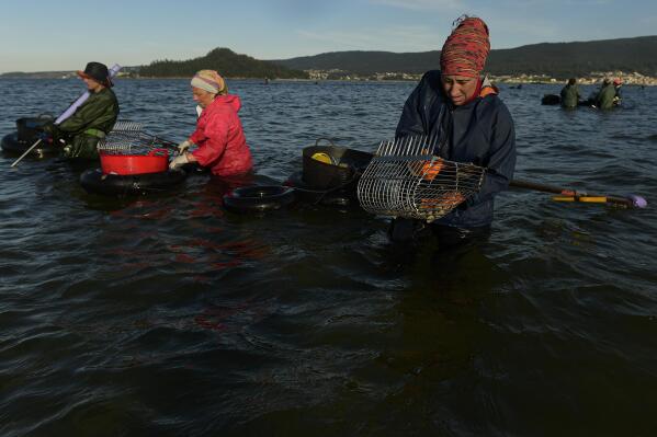 AP PHOTOS: As Spain's 'peasant farmers of the sea,' groups of women dig for  clams