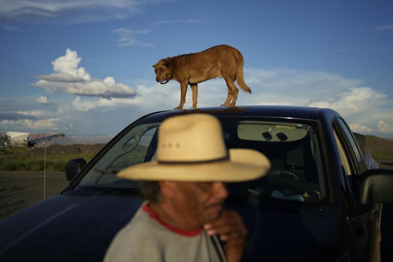 Rancher Clay Bravo leans against his truck as his pet dog Whisky stands on the roof on the Hualapai reservation Tuesday, Aug. 16, 2022, in northwestern Arizona. Despite the Colorado River coursing more than 100 miles through Hualapai land, the tribe can't draw from it. Bravo said the tribe should wait on a settlement, negotiate a better deal and develop groundwater resources at the same time. (AP Photo/John Locher)