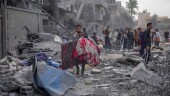 Palestinians look at destruction by the Israeli bombardment of the Gaza Strip, in Deir al Balah, Wednesday, Nov. 22, 2023. (AP Photo/Hatem Moussa)