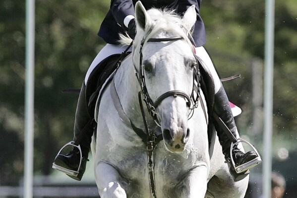 Philippines’ Mikaela Jaworski with horse Globe Platinum Leap of Faith clears an obstacle at a speed course during the equestrian individual qualifying event at 23rd South East Asian Games in suburban Alabang, south of Manila, Philippines on Thursday, Dec. 1, 2005. (AP Photo/Aaron Favila, File)