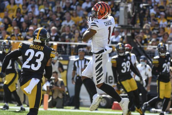 Bengals Destroy Steelers At Heinz Field