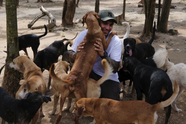 In this Oct. 13, 2020, photo, Ricardo Pimentel is greeted by dogs that he rescued at his Tierra de Animales (Land of Animals) shelter in Leona Vicario, Mexico. Pimentel sheltered about 300 dogs at his home during Hurricane Delta, and his story, which has gone viral, led people across the world to donate to the shelter. (AP Photo/Luis Andres Henao)