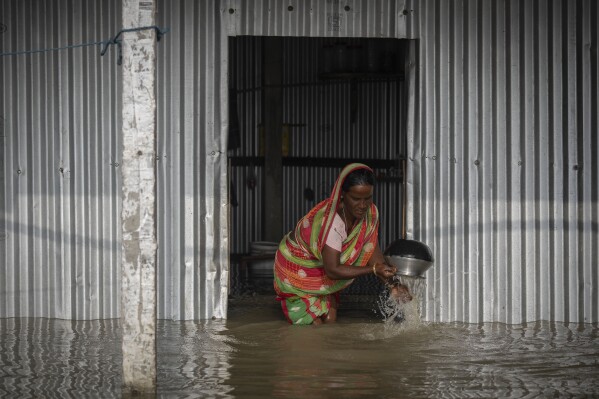 Monuwara Begum, 45, cleans utensils before leaving her family's house that is submerged with floodwaters in Sandahkhaiti, a floating island village in the Brahmaputra River in Morigaon district, Assam, India, Wednesday, Aug. 30, 2023. (AP Photo/Anupam Nath)