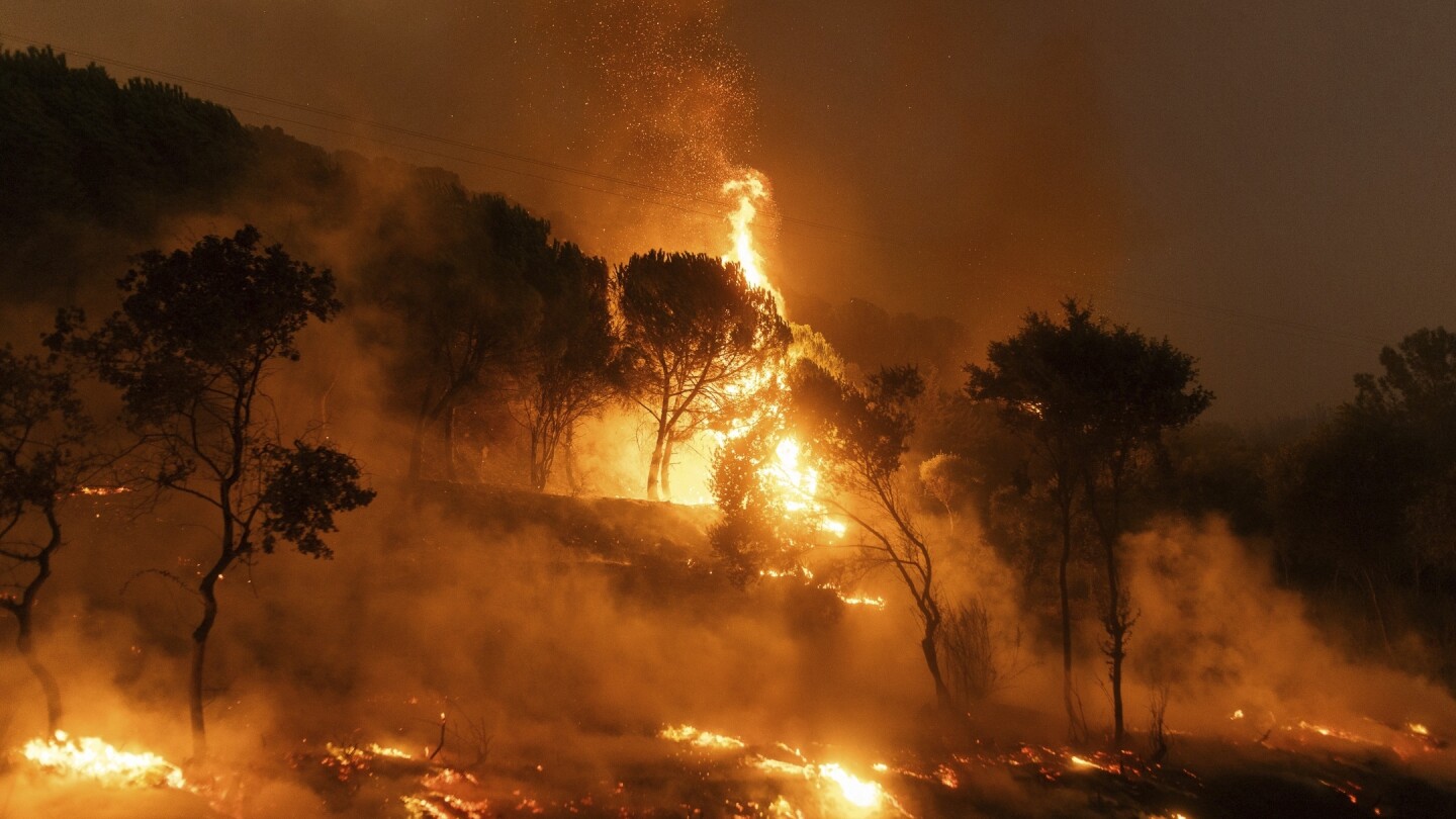 The bodies of 18 people have been found in an area affected by a forest fire in Greece