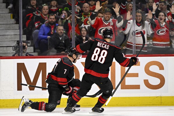 Carolina Hurricanes defenseman Dmitry Orlov (7) skates past fans as he celebrates his goal against the Ottawa Senators with center Martin Necas (88) during the first period of an NHL hockey game in Ottawa, Ontario, Sunday, March 17, 2024. (Justin Tang/The Canadian Press via AP)