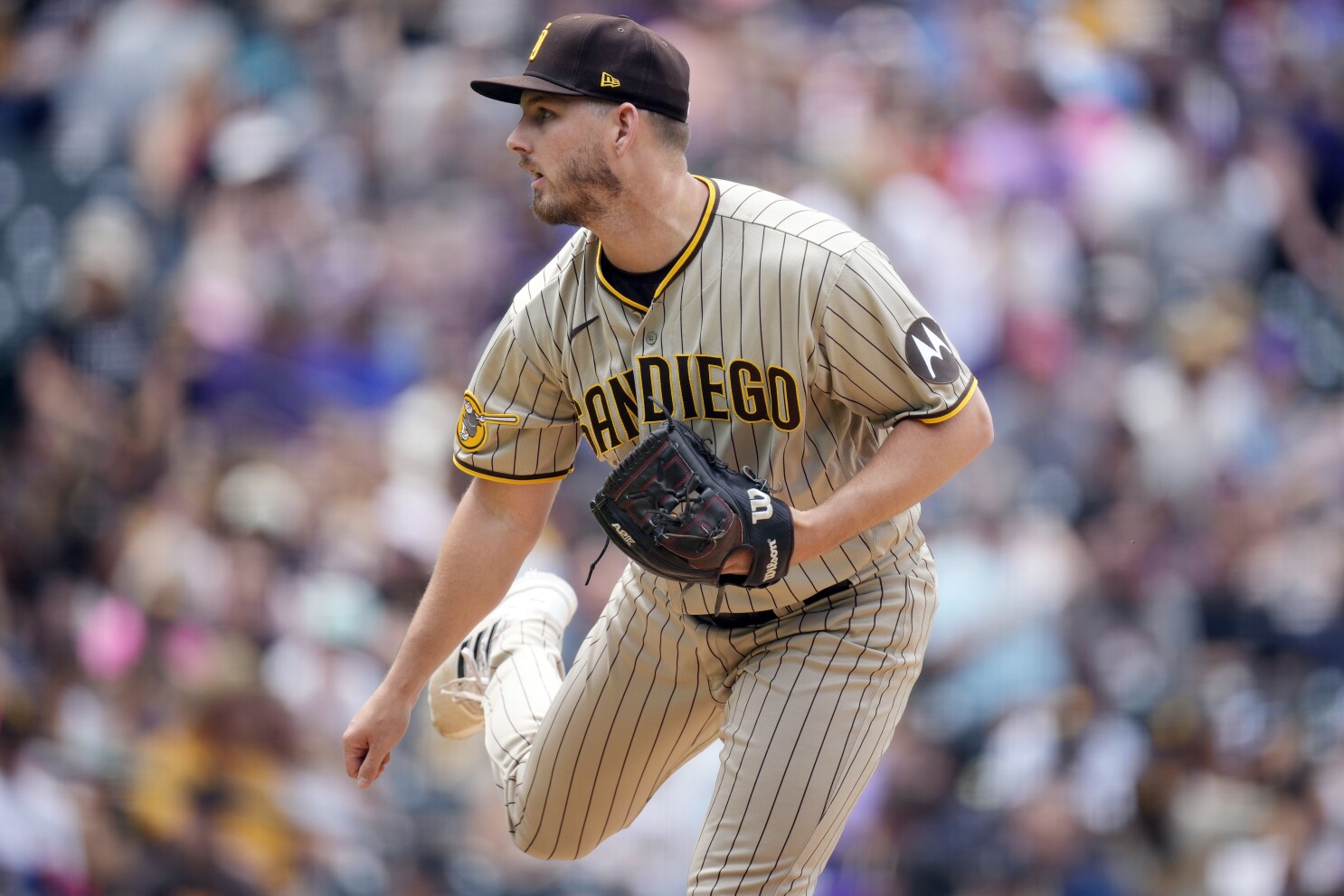 San Diego Padres place pitcher Drew Carlton on injured list, activate Tom  Cosgrove | AP News