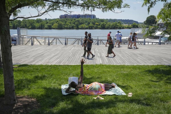 A woman stretches up her hand while laying in a patch of shade with a books at Yards Park, Sunday, June 16, 2024, as temperatures begin to steam up in Washington. (AP Photo/Jacquelyn Martin)