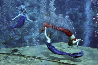 FILE - In this Aug. 16, 2007 file photo, performers with the Weeki Wachee mermaid attraction practice in Weeki Wachee, Fla. Florida Gov. Ron DeSantis has signed legislation dissolving the city of Weeki Wachee, known for its mermaid shows. The mermaids at Weeki Wachee State Park have been a staple of Florida tourism since 1947. (George Skene/Orlando Sentinel via AP, File)