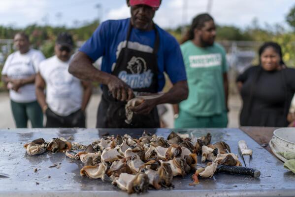 Quincy Garbey lays out fresh conch meat for customers at a fish market in Freeport, Grand Bahama Island, Bahamas, Saturday, Dec. 3, 2022. Conch is the lynchpin of a commercial fishing sector that constitutes more than $200 million of the nation's gross domestic product, according to a recent study in the journal Fisheries Management and Ecology. The flavor of conch is sometimes compared to both clams and salmon. (AP Photo/David Goldman)