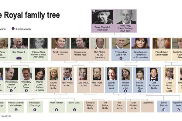 The British royal family tree and succession plan after the passing of Queen Elizabeth II. (AP Graphic)