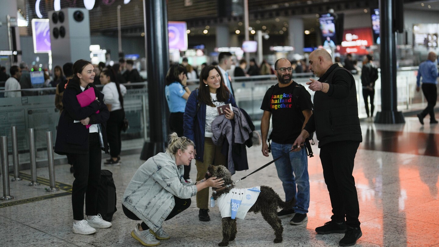 Летището в Истанбул предоставя на тревожните пътници изживяване, като наема 5 кучета-терапевти