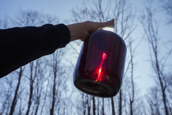 Lance Martin holds a jug of maple syrup as light shines through it, Sunday, Feb. 25, 2024, in Rhinelander, Wis. In many parts of Wisconsin and the Midwest this year, the warmest winter on record drove farmers and hobbyists alike to start collecting tree sap for maple syrup a month or more earlier than they normally would. (Ǻ Photo/Joshua A. Bickel)