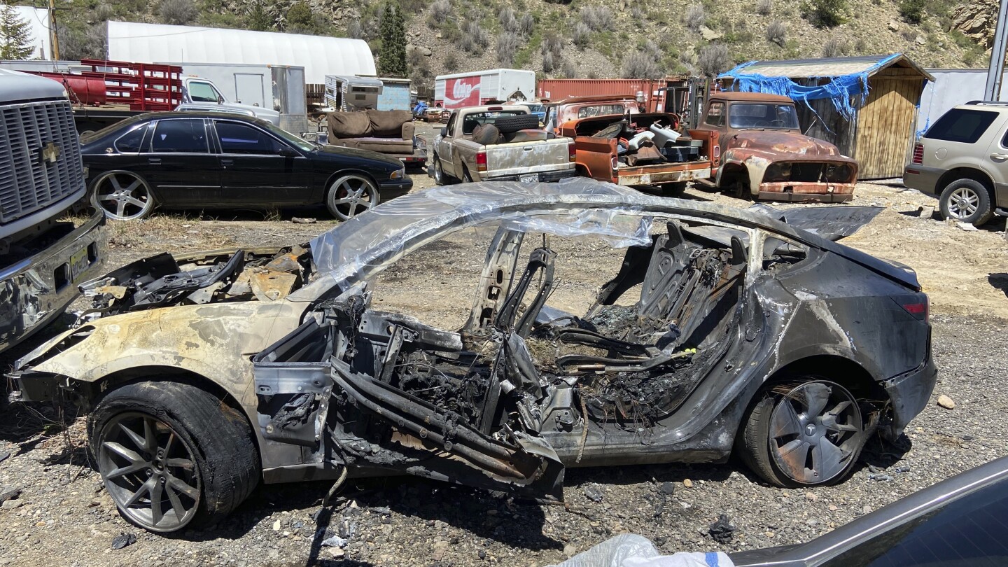 Автопилотът на Tesla предизвика огнена катастрофа в дърво, убивайки мъж от Колорадо, гласи дело