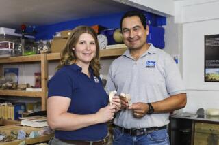 Paleontologist Becky Hall, left, holds bone fragments of Nevadadromeus schmitti next to her husband, Dr. Joshua Bonde, right, at the Nevada Science Center in Henderson, Wednesday, May 11, 2022. Friends and colleagues have raised funds to support two top Carson City museum officials who were badly injured in a fatal head-on crash that killed the woman’s 10-year-old daughter and two Las Vegas men last month on a remote stretch of U.S. highway in southern Nevada. (Rachel Aston/Las Vegas Review-Journal via AP)