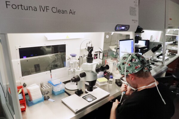 Lab staff prepare small petri dishes, each holding several 1-7 day old embryos, for cells to be extracted from each embryo to test for viability at the Aspire Houston Fertility Institute in vitro fertilization lab Tuesday, Feb. 27, 2024, in Houston. Women over 35 and those facing serious diseases like cancer, lupus and sickle cell are among the most likely to turn to IVF to build the families they desperately want. But in Alabama, they are among those whose dreams are in limbo after three of the state's largest clinics paused IVF services. (AP Photo/Michael Wyke)