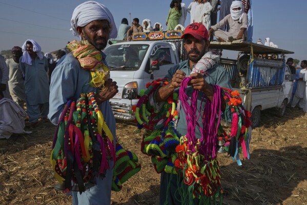 Hawkers hold colourful ribbons and other items using to decorate bull as they wait for customers at the venue of a traditional bull race competition, in Malal, a village of Attock district, in Pakistan, Thursday, May 15, 2025. (AP Photo/Anjum Naveed)