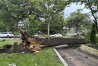 A downed tree lies across a driveway after strong winds hit Des Moines, Iowa, Monday, July 15, 2024. (AP Photo/Scott McFetridge)