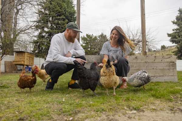Aaron and Carrie Friesen feed chickens in the backyard of their home in Boise, Idaho, on April 12, 2023. The couple, who has three children, recently moved to Idaho from the Bluffton, S.C., area. Americans are segregating by their politics at a rapid clip, helping fuel the greatest divide between the states in modern history. (AP Photo/Kyle Green)
