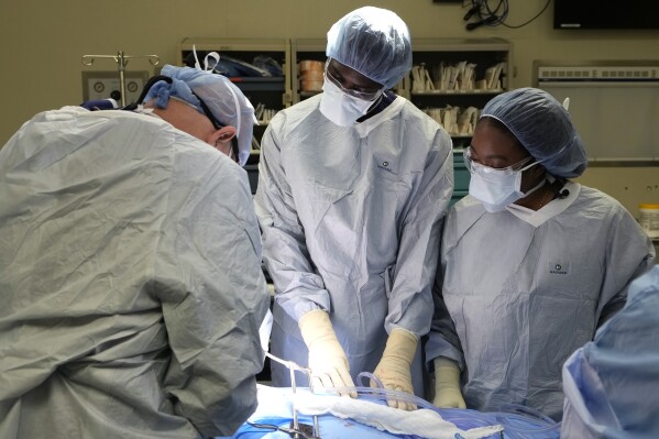 Meharry Medical College students Emmanuel Kotey, center, and Teresa Belledent, right, observe an organ recovery surgery June 15, 2023, in Jackson, Tenn. Kotey thinks he’ll become a general practitioner and pledges his patients “young to old, will know about organ donation.” (AP Photo/Mark Humphrey)