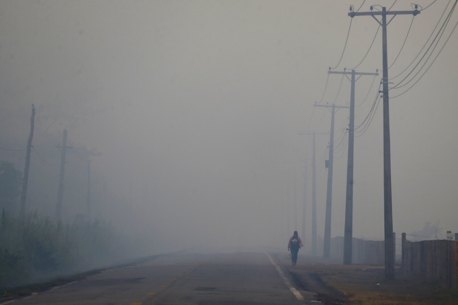 Brazil loosens environmental rules months before hosting COP30 climate summit