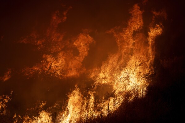 Flames consume brush along Gilman Springs Road during the Rabbit Fire late Friday, July 14, 2023, in Moreno Valley, Calif. (AP Photo/Eric Thayer)