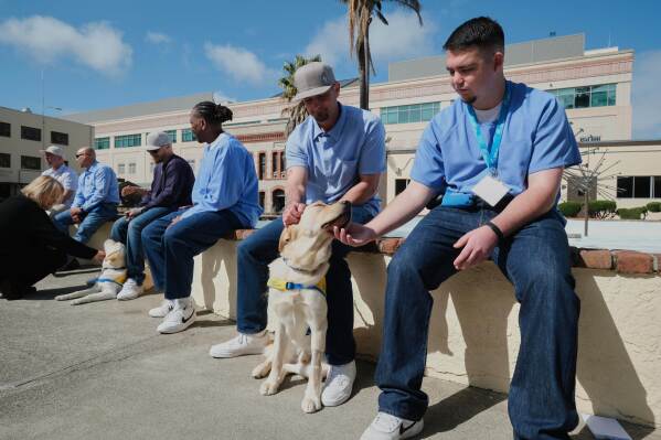 Incarcerated men at the San Quentin Rehabilitation Center pet a service dog in training at the prison in San Quentin, Calif., Friday, March 28, 2025. (AP Photo/Eric Risberg)