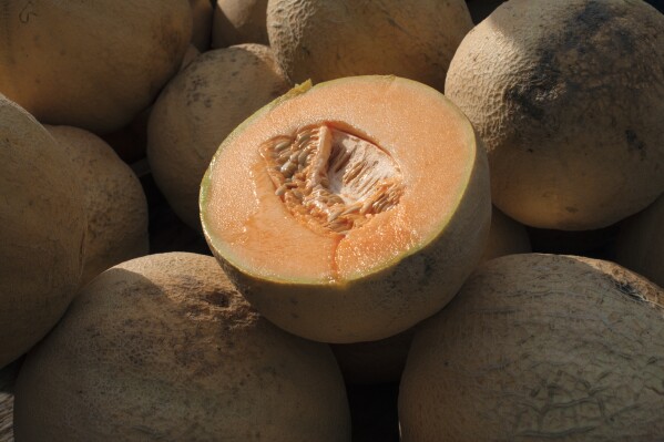 FILE - Cantaloupes are displayed for sale in Virginia on Saturday, July 28, 2017. On Friday, Nov. 17, 2023, the U.S. Centers for Disease Control and Prevention is warning consumers not to eat certain whole and cut cantaloupes and pre-cut fruit products linked to an outbreak of salmonella poisoning. At least 43 people in 15 states have been infected in the outbreak announced Friday, including 17 people who were hospitalized. Several brands of whole and pre-cut cantaloupes and pre-cut fruit have been recalled. They include Malichita brand whole cantaloupe, Vinyard brand pre-cut cantaloupe and ALDI whole cantaloupe and pre-cut fruit products. (AP Photo/J. Scott Applewhite, File)