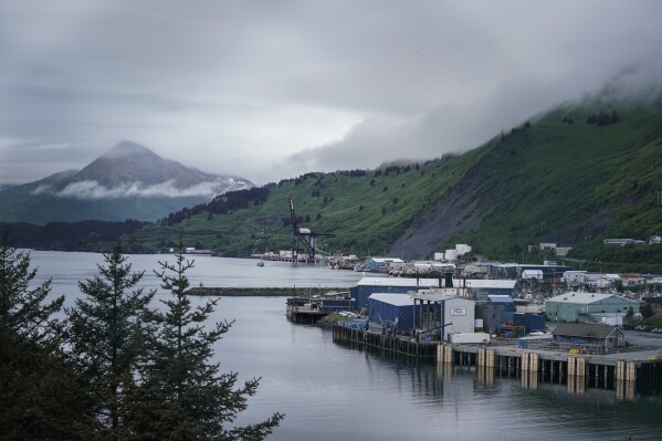 Fish processing facilities and docks are visible on Saturday, June 24, 2023, in Kodiak, Alaska. (AP Photo/Joshua A. Bickel)