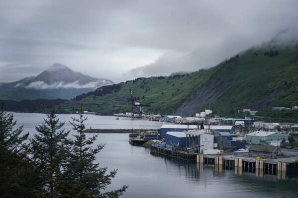 Eyewitnesses to disaster: Commercial fishermen implore action on the  collapse of Alaska ecosystems