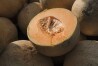 FILE - Cantaloupes are displayed for sale in Virginia on July 28, 2017. The Centers for Disease Control and Prevention on Thursday, Nov. 30, 2023, said it was advising people to stop eating precut cantaloupe if they don't know where it came from due to a deadly outbreak of salmonella poisoning that continues to grow. (AP Photo/J. Scott Applewhite, File)
