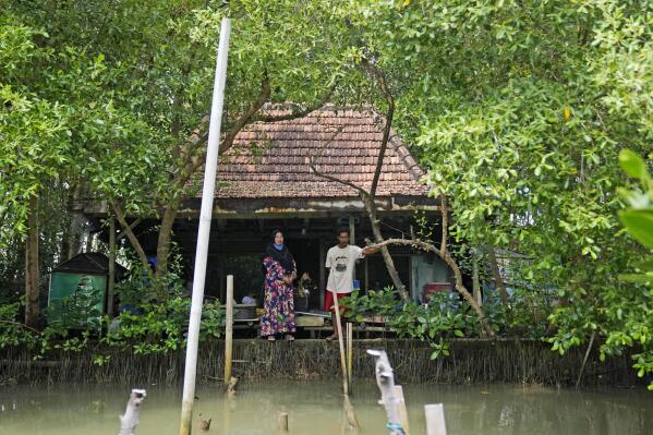 Asiyah y su esposo Aslori posan para una fotografía afuera de su antigua casa que abandonaron debido a las inundaciones en Modoliko, Java Central, Indonesia, el lunes 5 de septiembre de 2022. La familia finalmente se mudó a tierras más secas, convirtiéndose en migrantes climáticos ya que muchos de sus los vecinos tenían delante de ellos. (Foto AP/Dita Alangkara)