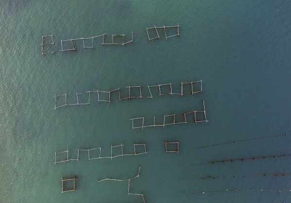 
              This Friday, March 8, 2019 aerial photo shows an oyster farm in Mali Ston, southern Croatia. Authorities have detected norovirus, a bug that causes diarrhea and vomiting, in parts of the Mali Ston bay, raising alarm among the breeders who are proud of their industry. (AP Photo/Eldar Emric)
            