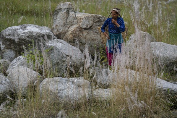 Laxmi Jyoti, 41, walks near where her home used to be in Chanaute, Melamchi, northeast from Kathmandu, Nepal, Sunday, Sept. 15, 2024, now covered with large rocks brought by floods in 2021. (AP Photo/Niranjan Shrestha)