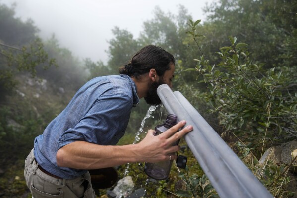 Activist Bridger Zadina drinks spring water flowing from a BlueTriton pipe in the San Bernardino National Forest on Monday, Sept. 18, 2023, in San Bernardino, Calif. As a part of their permit, the company is required to release a certain amount of spring water to serve wildlife in the area. The State Water Resources Control Board is expected to vote Tuesday on whether to issue a cease-and-desist order against BlueTriton, the company that produces the widely-known Arrowhead brand of bottled water. The order would prevent BlueTriton from drawing water from certain points in the San Bernardino National Forest. (AP Photo/Ashley Landis)